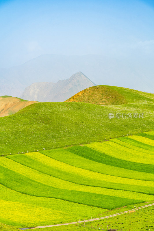 青海祁连县卓尔山景区，夏季起伏的高山牧场