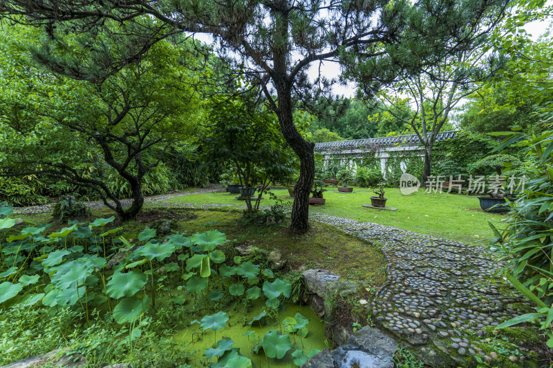 武汉东湖磨山景区盆景园