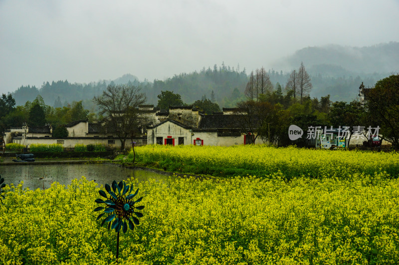 安徽黄山市黟县5A景区雨中的西递古镇