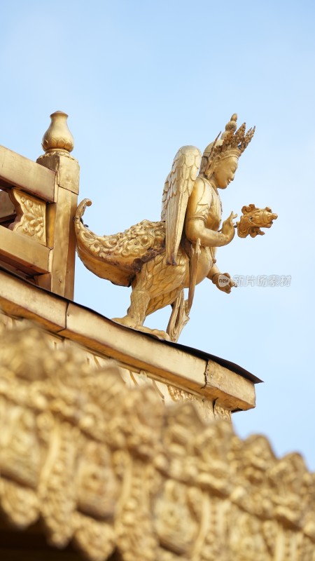 西藏拉萨大昭寺