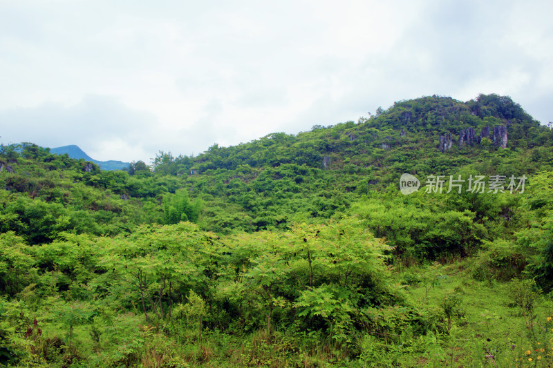 山峰云雾喀斯特风景自然户外