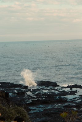 海边礁石上浪花飞溅的自然景观