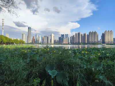 武汉武昌沙湖风景