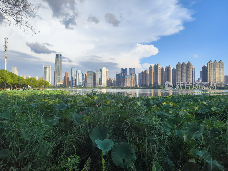 武汉武昌沙湖风景