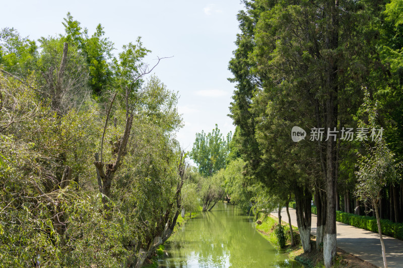 绿意盎然的昆明滇池湿地公园