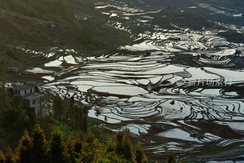 红河元阳梯田，大瓦遮梯田，日落时分