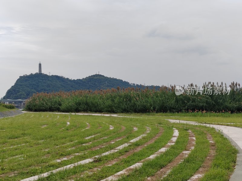 绿地中蜿蜒小径通向植被繁茂的远山