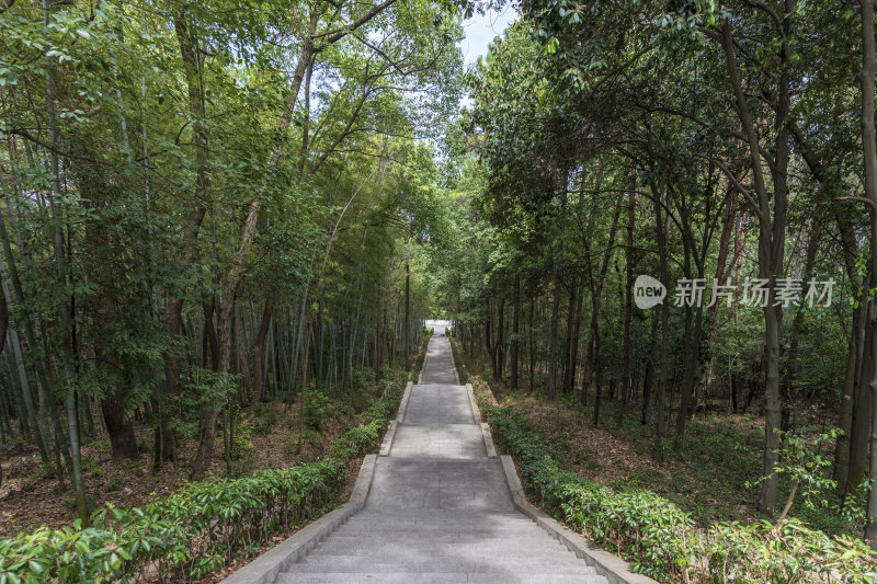 武汉江夏区熊廷弼公园项英广场风景