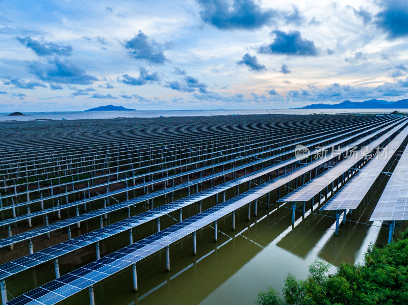 广东江门太阳能鱼塘光伏发电清洁能源碳中和