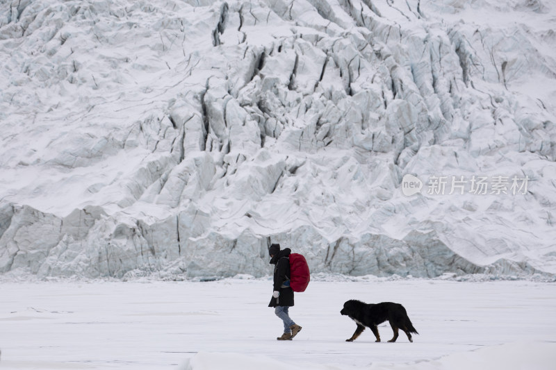 人携犬在冰川雪地行走