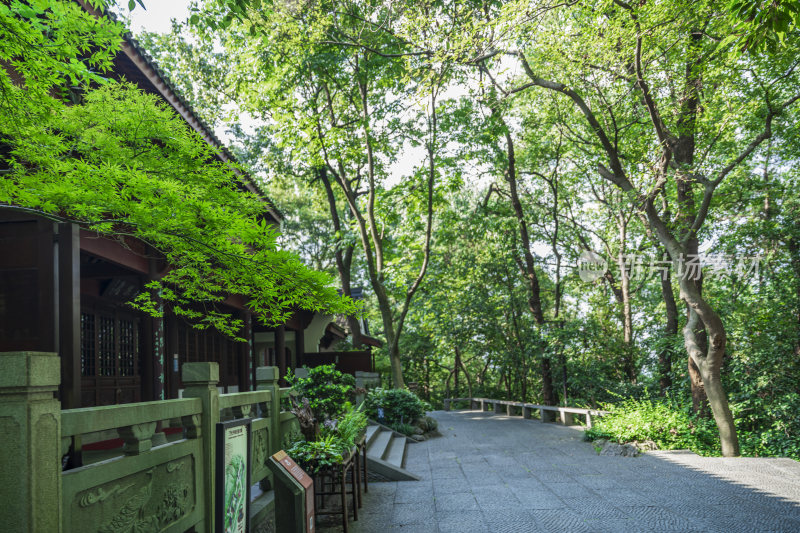 杭州凤凰山万松书院风景