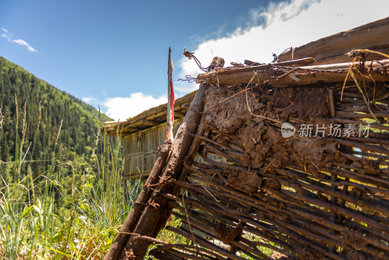 阿坝的森林民居