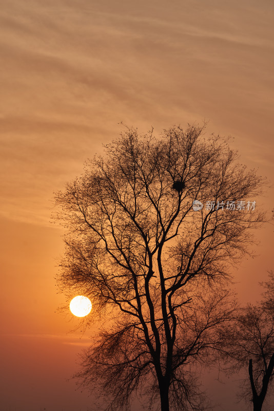 金色的夕阳