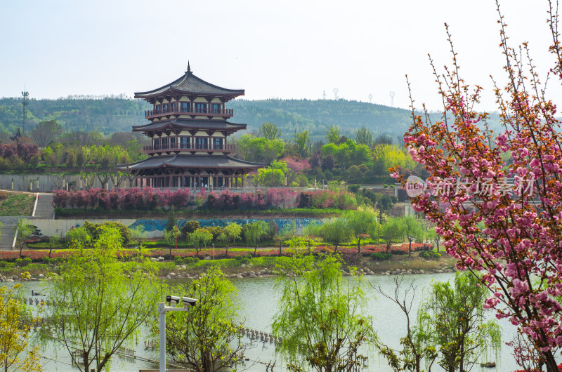 渭南南湖公园春天风景