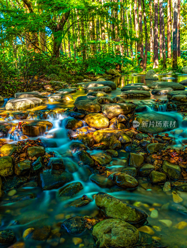 林间溪流与石头景观