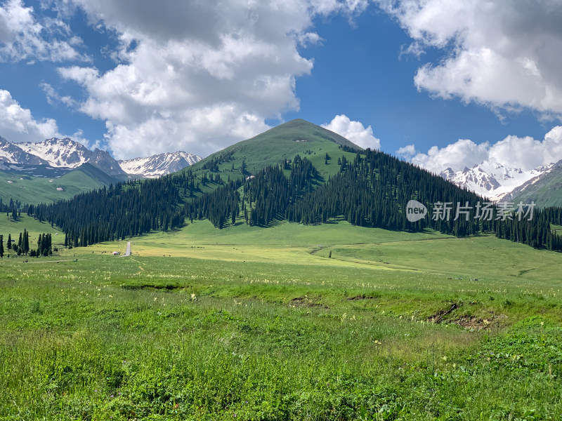 中国新疆伊犁那拉提草原旅游风光