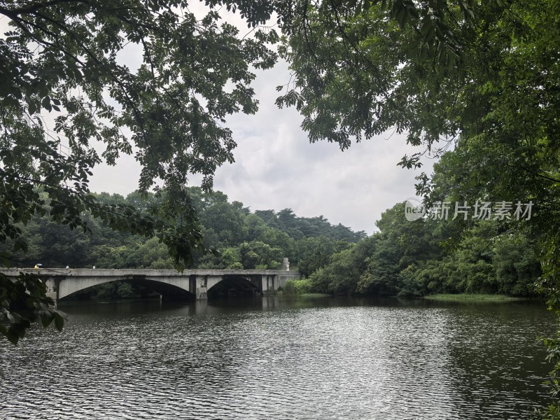 雨花台：绿树环绕的湖上有一座石桥