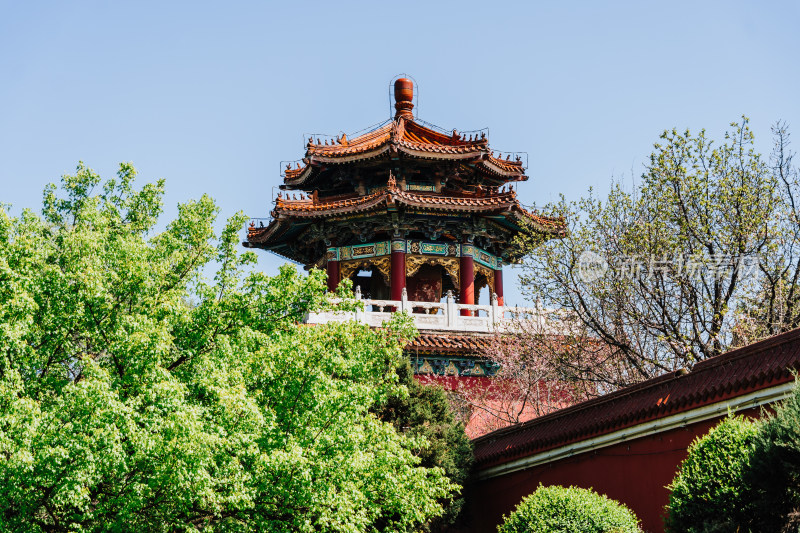 鞍山玉佛寺