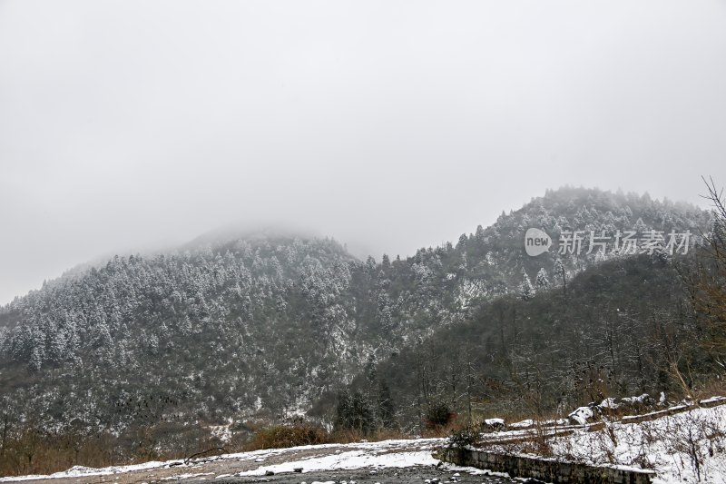 重庆酉阳：大雪纷飞赏雪忙