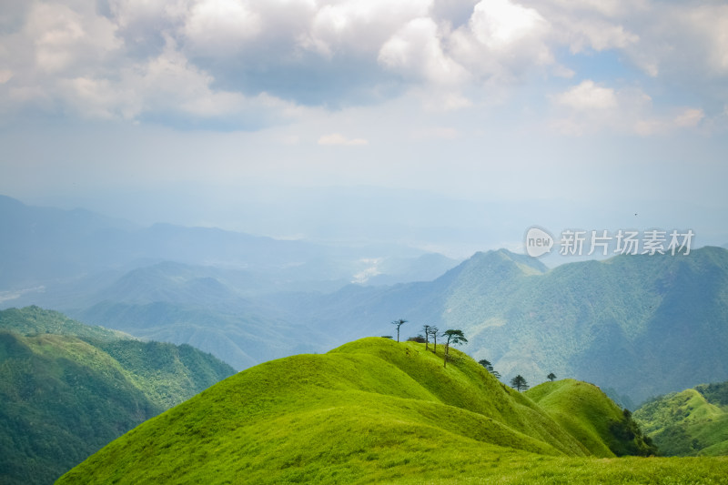 江西武功山高山草甸