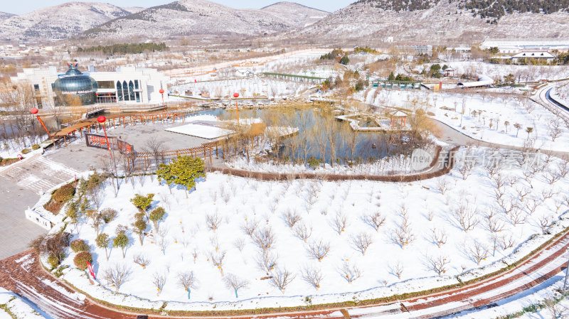 峄城石榴博览园雪景