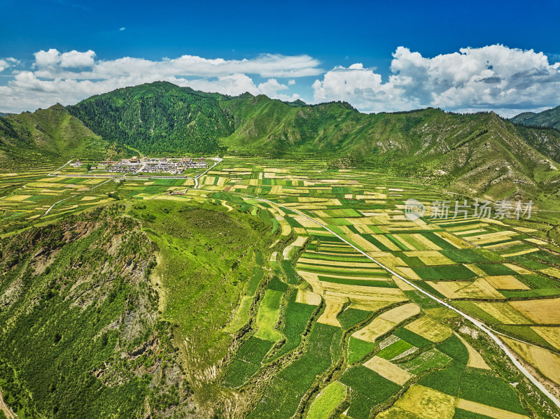 山谷中的农田