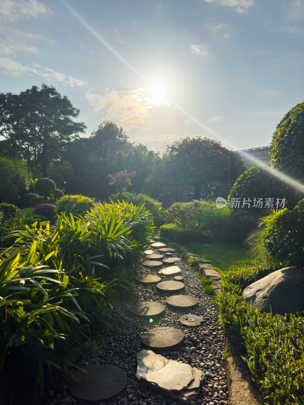 阳光洒满石板路