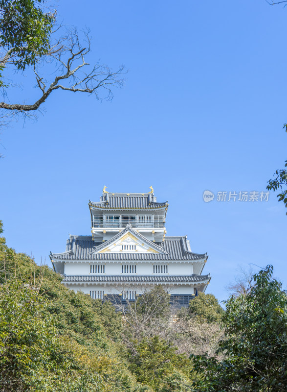 蓝天下的日本岐阜城