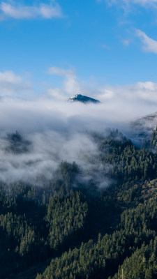 阿坝州若巴藏拉克山