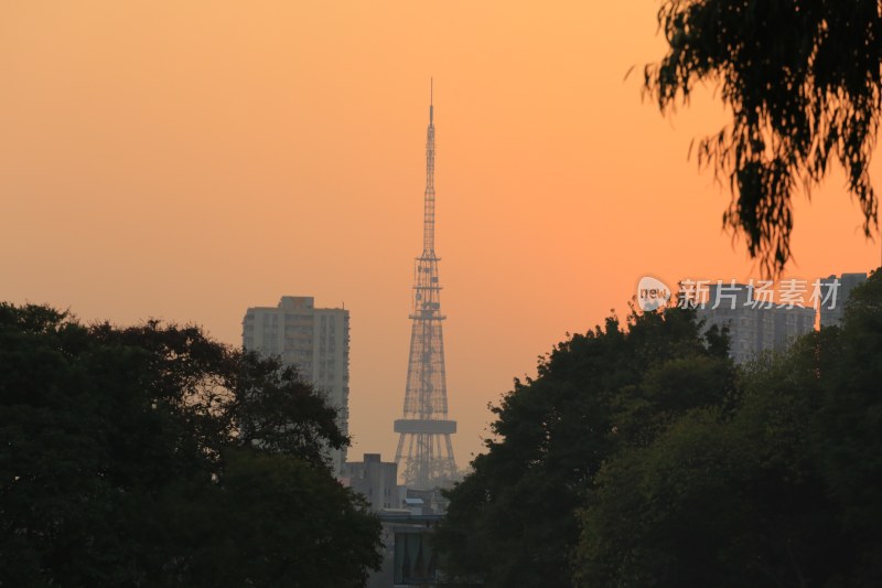 夕阳下城市中的高塔景观