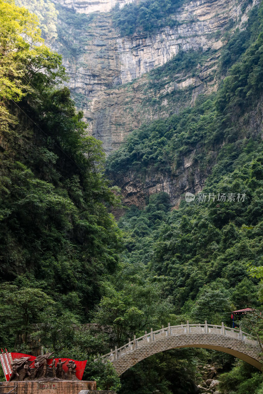 湖北宜昌三峡竹海风景区，自然风光，竹海