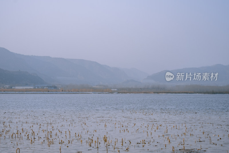 冬天三门峡陕州公园黄河风光