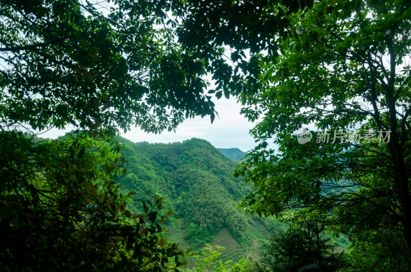 山中的自然风景