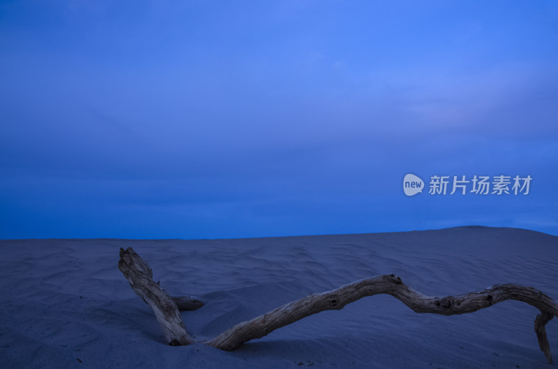 内蒙古额济纳旗黑城弱水胡杨风景区沙漠