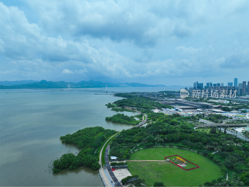 深圳湾城市风光