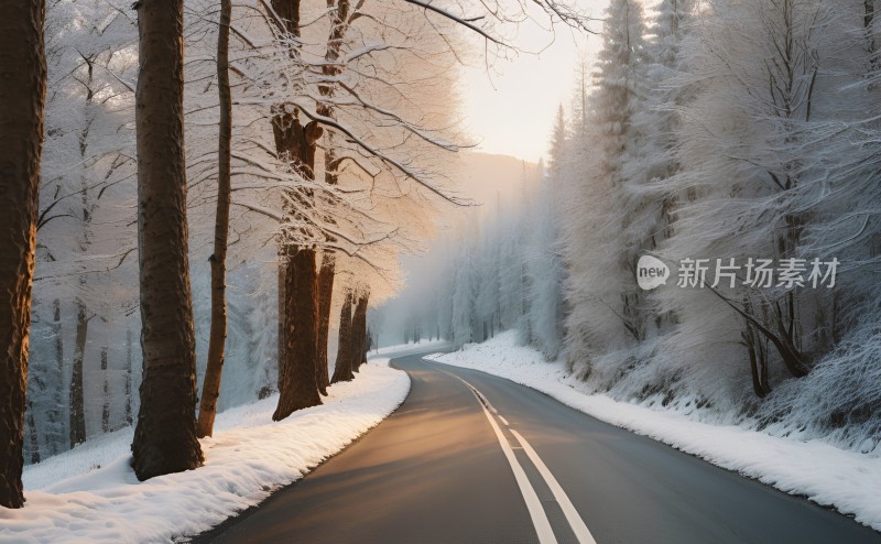 冬季森林白雪覆盖风景