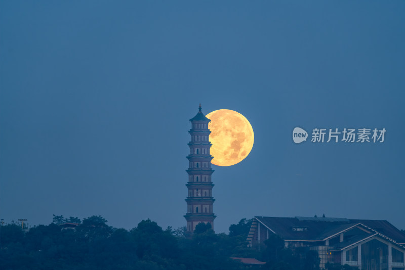 广州海鸥岛月光下的观音像古塔与圆月奇景