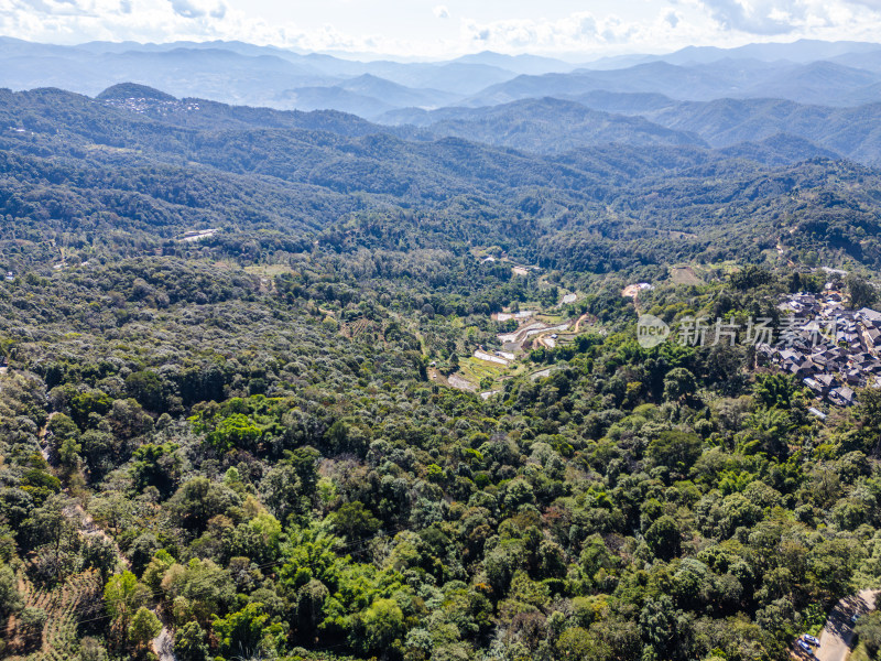 航拍被森林环绕的景迈山村庄全景