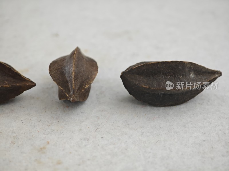 植物种子微距特写