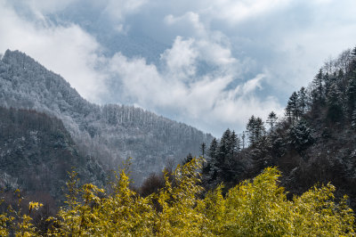 下雪后的川西卧龙风景