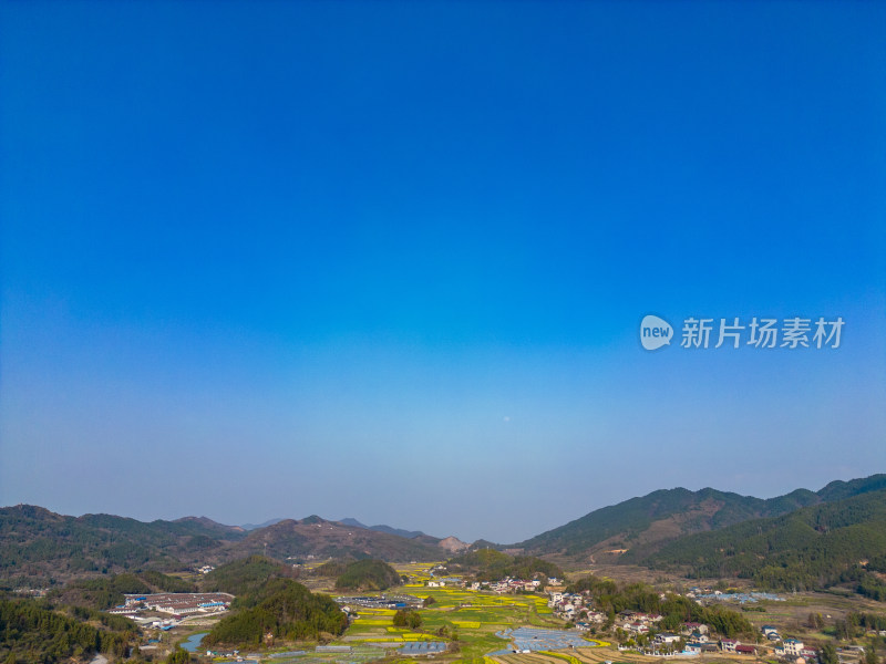 美丽乡村大棚农业种植油菜花航拍摄影图