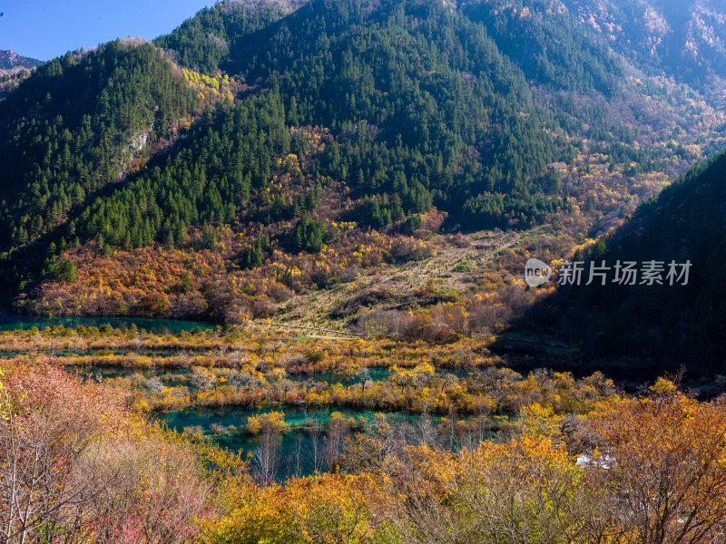 九寨沟秋景