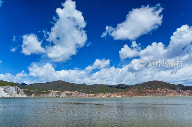 云南大桥香格里拉纳帕海自然保护区湖景风光