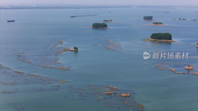 济宁微山湖