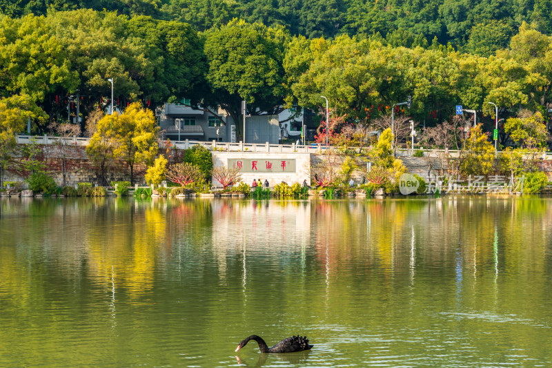 福州黎明湖公园景色