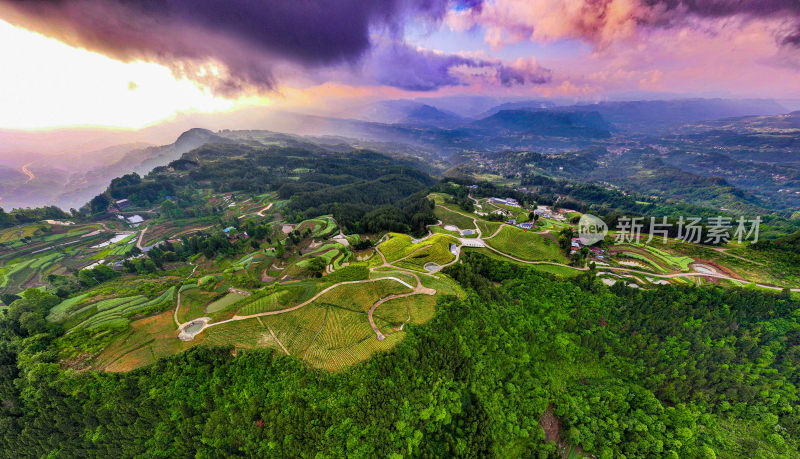 万亩茶园产业园区全景