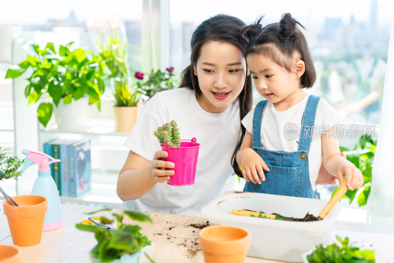 快乐的母女俩在家种植盆栽