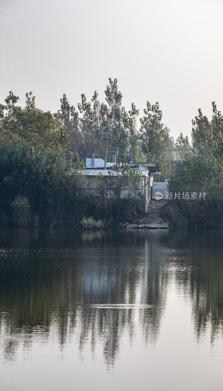 湖边树林中的小屋景观