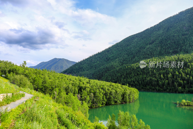 新疆阿勒泰喀纳斯卧龙湾森林河流自然风光