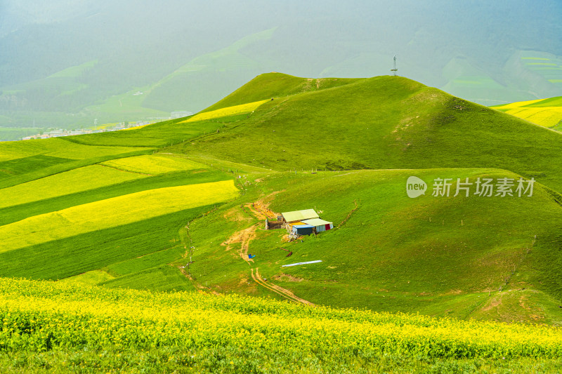 青海祁连县卓尔山景区，夏季起伏的高山牧场